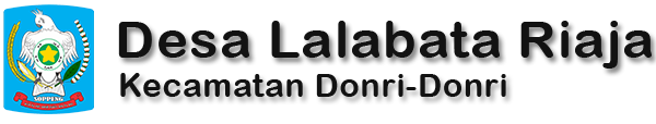 Website Desa Lalabata Riaja